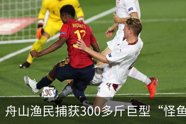 舟山渔民捕获300多斤巨型“怪鱼”，已放归大海，经辨认系翻车鱼，是已知世界上生殖力最强的脊椎动物；网友：以为是一块大石头