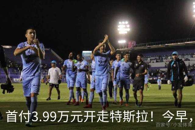 首付3.99万元开走特斯拉！今早，特斯拉推出全新方案
